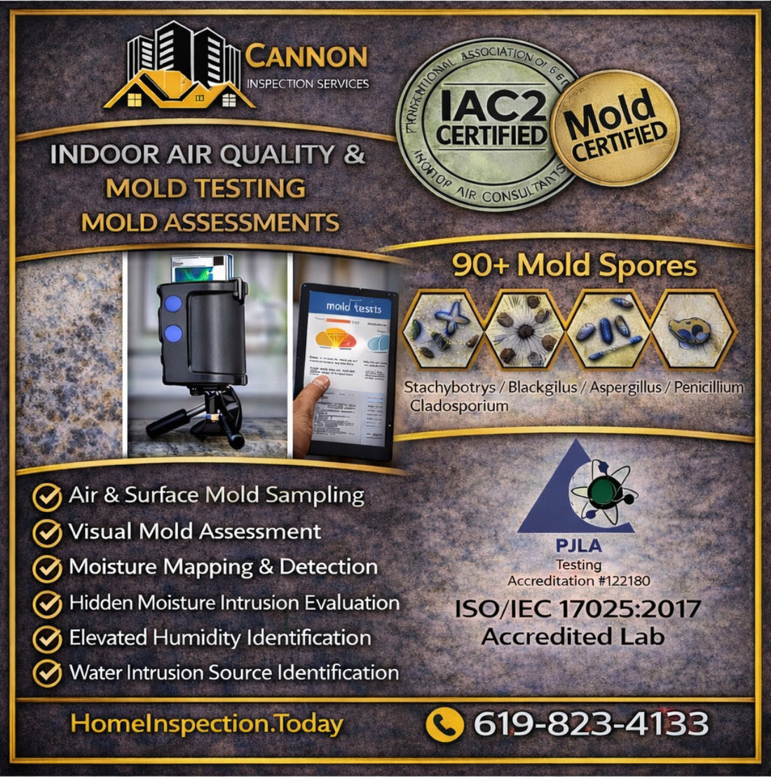 Mold Inspections & Indoor Air Quality: What Homeowners in Southern California Need to Know